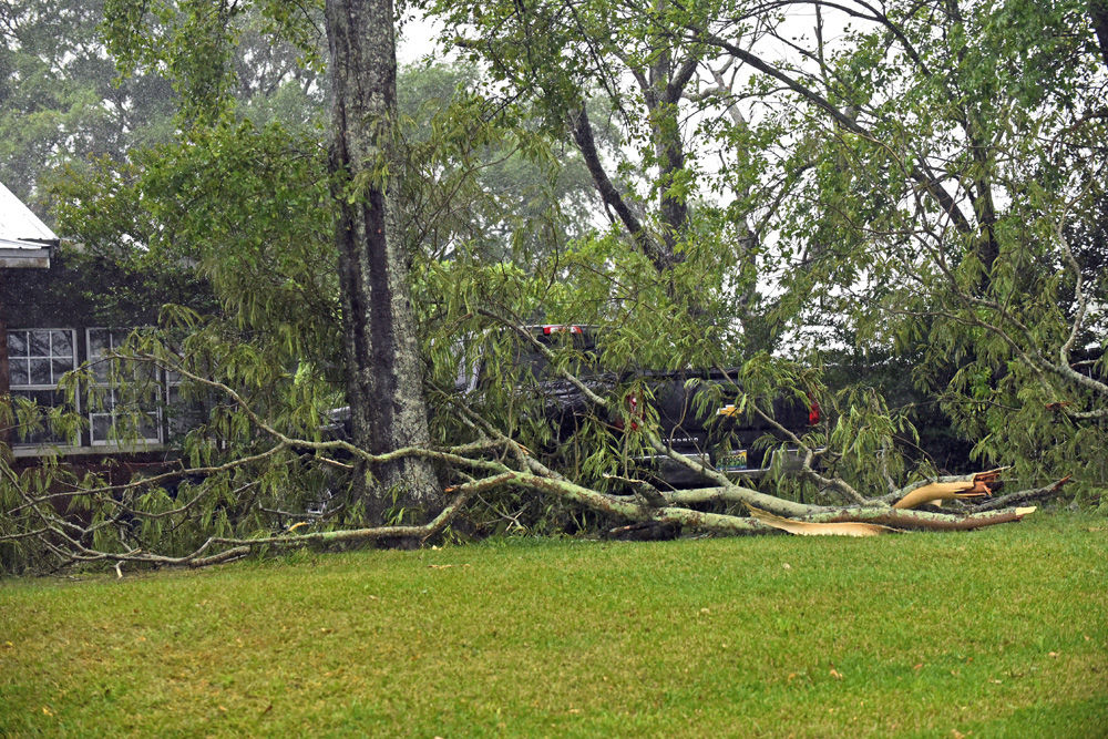 Storm batters Wiregrass